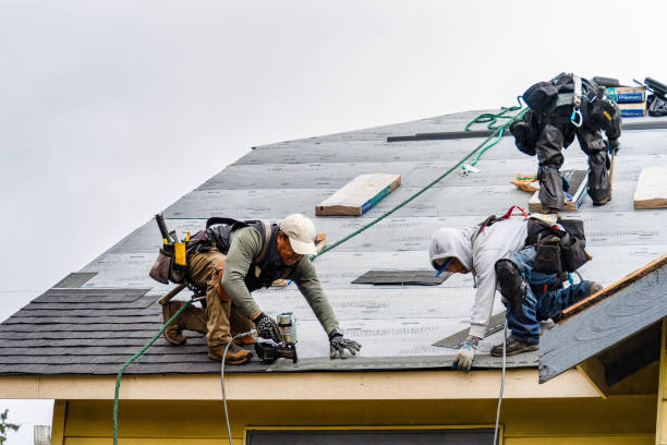 Professional Roof Repair technician working in Moorhead, MS